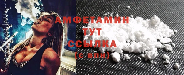 шишки Горно-Алтайск