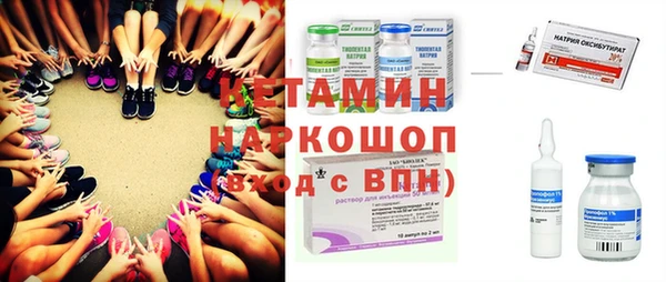 шишки Горно-Алтайск