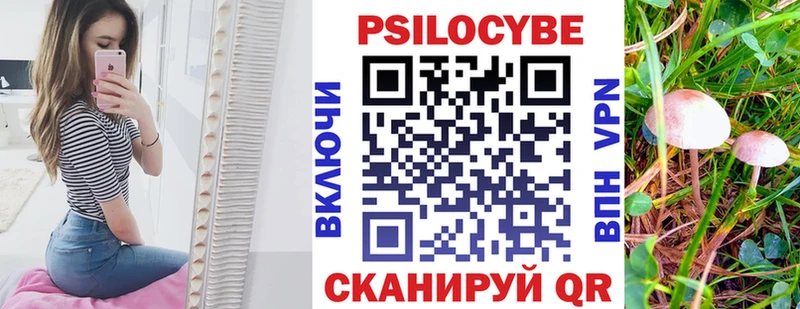 Псилоцибиновые грибы мицелий  Октябрьск 
